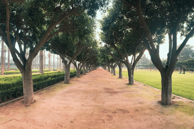 ligue arabe parc casablanca