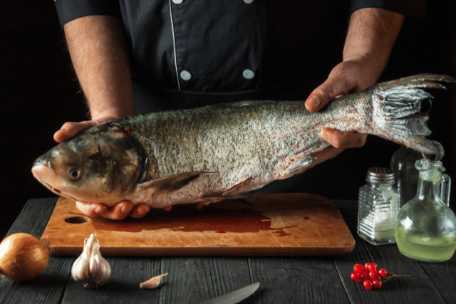 Cuisson pour poisson