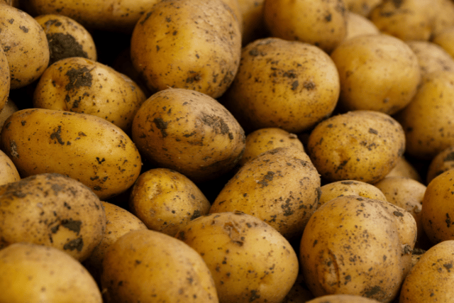 Comment conserver les pommes de terre