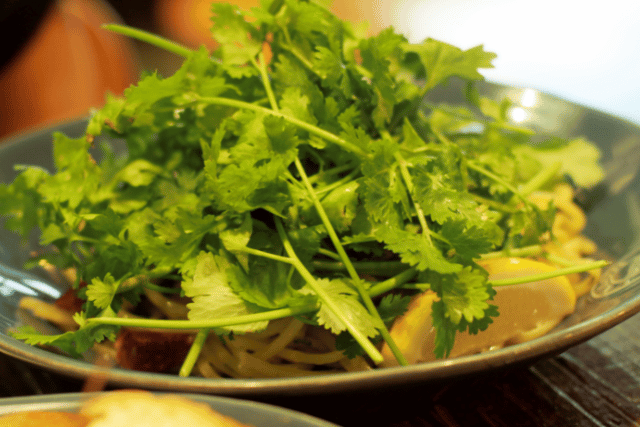 herbes aromatiques