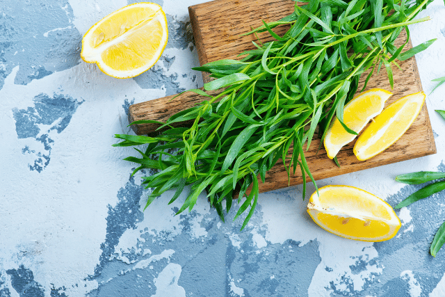 herbes aromatiques