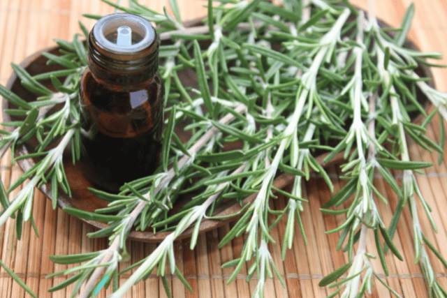 herbes aromatiques