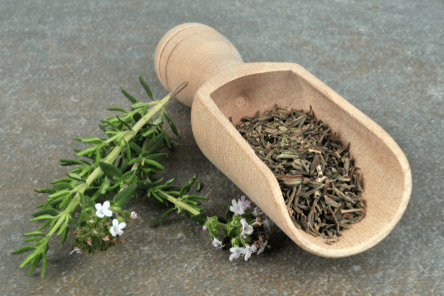 herbes aromatiques